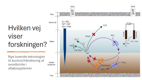 Hvilken-vej-viser-forskningen