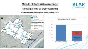 Birkedalen Skade oplæg