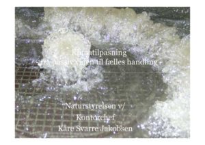 Klimatilpasning-fra-passiv-viden-til-faaelles-handling