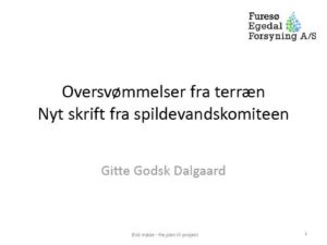 spildevandskomiteen-oversvoemmelser-paa-terraen-1