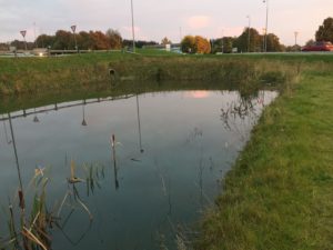 Våde regnvandsbassiner – er det løsningen?