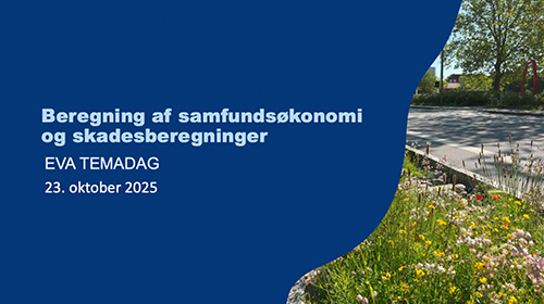 Beregning af samfundsøkonomi og skadesberegninger