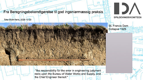 Formand for arbejdsgruppe om terrænnært grundvand under Spildevandskomiteen