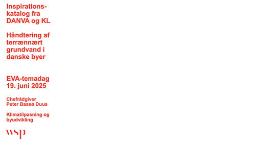 Inspirationskatalog ”terrænært grundvand i danske byer_
