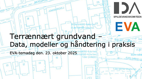 Terrænnært grundvand – Data, modeller og håndtering i praksis