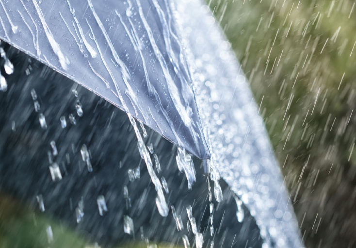Regn-Temadag